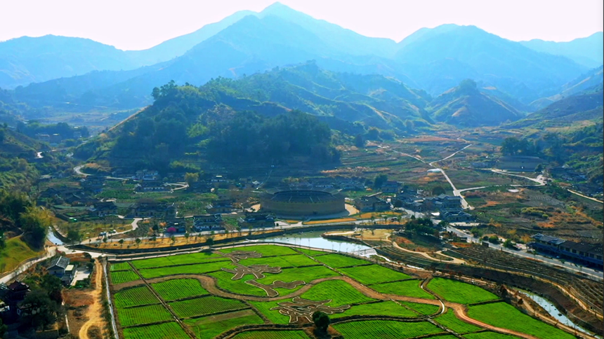 瞰中国|福建华安 土楼黄花开百亩